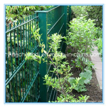 PVC Coated Garden Fence/Double Wire Mesh/Wire Mesh Fence (manufacturer)